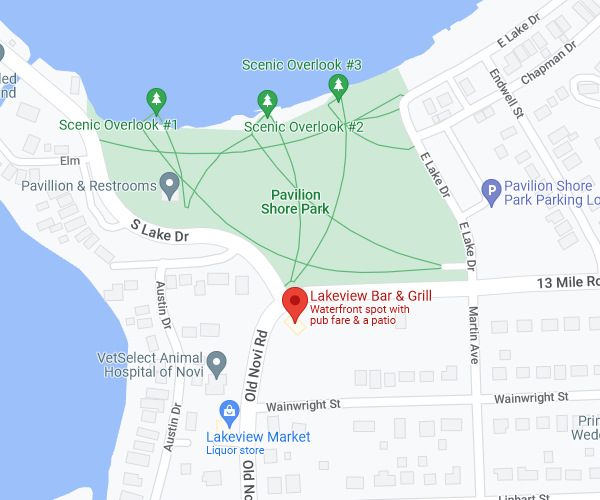 Map of area surrounding Lakeview Bar and Grill